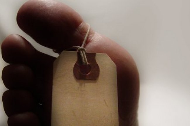 Panen Getah Karet Bareng Ibu, Petani di Siak Tewas Mengenaskan Diterkam Harimau