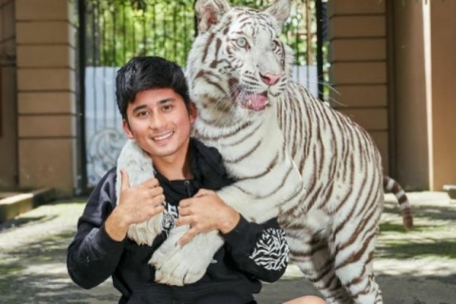 Geger Alshad Ahmad Diduga Pepet Berlliana Lovell, Gimana Nasib Tiara Andini dan Nissa Asyifa?