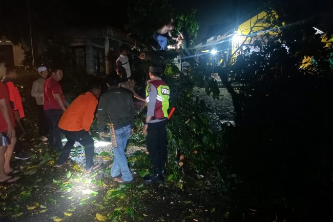 Polsek Bojongpicung turun tangan atasi pohon tumbang halangi jalan