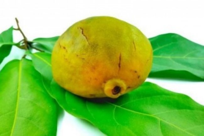 Jarang diketahui, Ini 5 Manfaat Buah Gayam bagi Kesehatan