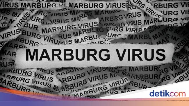 2 Negara di Afrika Dihantam Wabah Virus Marburg, Efek Perubahan Iklim?