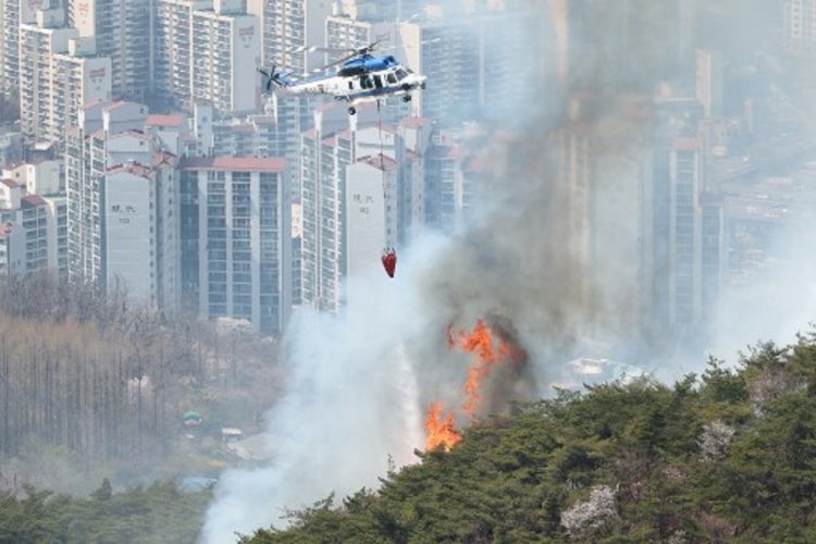 Populer Internasional: Kebakaran Hutan Korsel hingga Insiden Balon Udara Meksiko