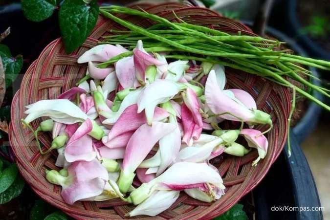 6 Manfaat Bunga Turi untuk Kesehatan dan Kandungan Nutrisinya