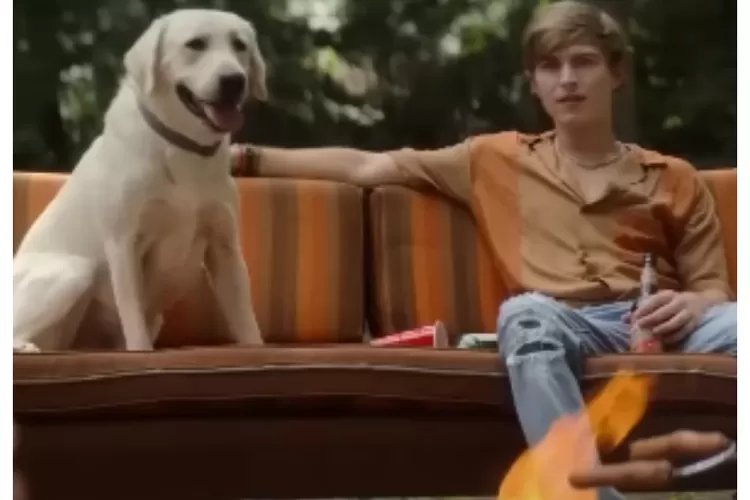 Sinopsis Film Dog Gone 2023, Persahabatan Anjing dan Manusia Terbaru!