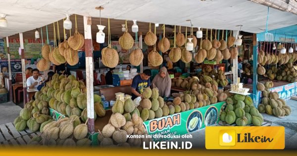 Catat Tanggalnya, Festival Durian Internasional Bakal Digelar di Parigi Moutong