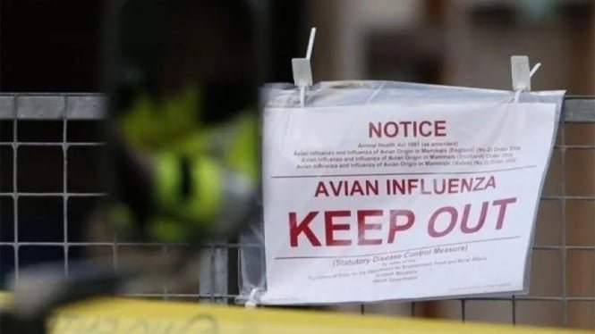 Wanita di China Meninggal Usai Terinfeksi Flu Burung, Tertular Antar Manusia?
