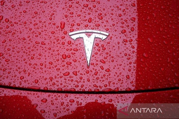 Tesla tarik beberapa unit model X karena masalah kamera belakang