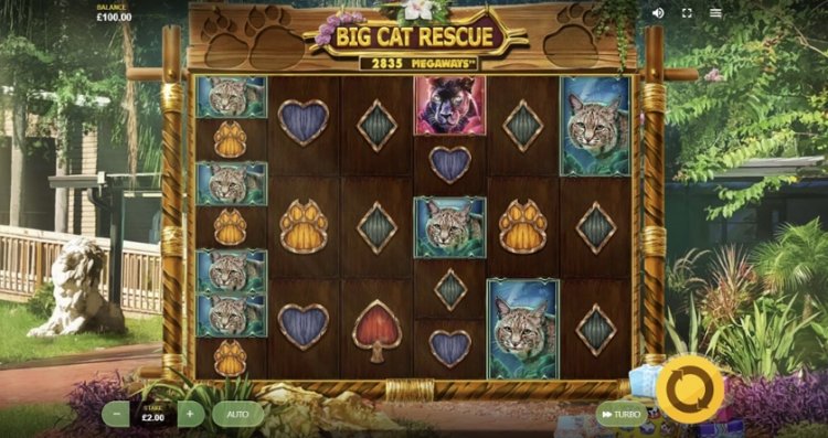 Game Slot Pragmatic Play Big Cat Rescue Megaways banyak bocoran di gamenya