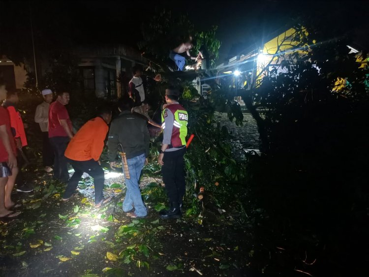 Polsek Bojongpicung turun tangan atasi pohon tumbang halangi jalan