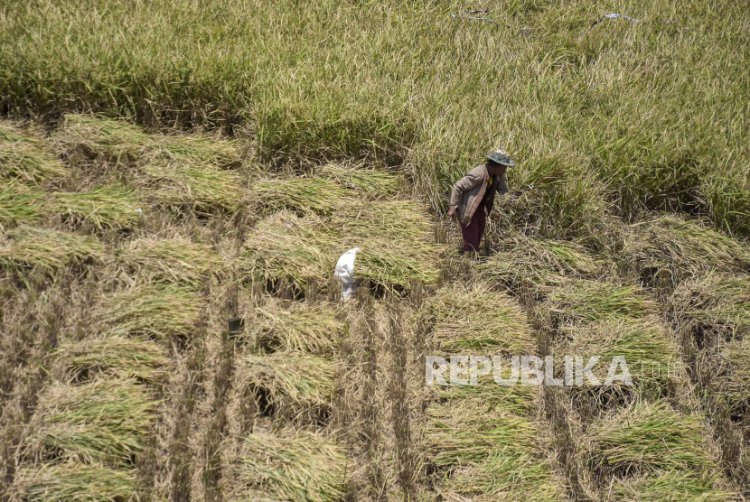 Bagaimana Indonesia Keluar dari Inflasi dan Krisis Pangan?