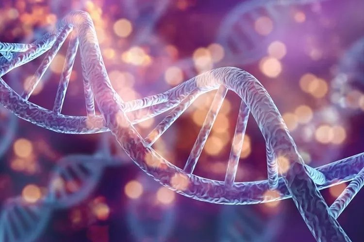 Tahukah Kamu 25 April Merupakan Hari DNA Internasional? Memotivasi Orang Mengetahui Alasan Manusia itu Unik