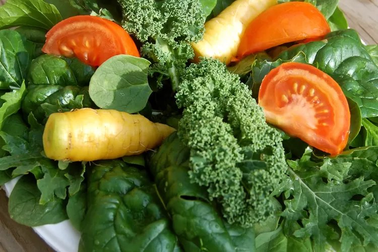 7 Jenis Sayur yang Cocok untuk Diet, Pejuang Berat Badan Harus Tahu Ini!
