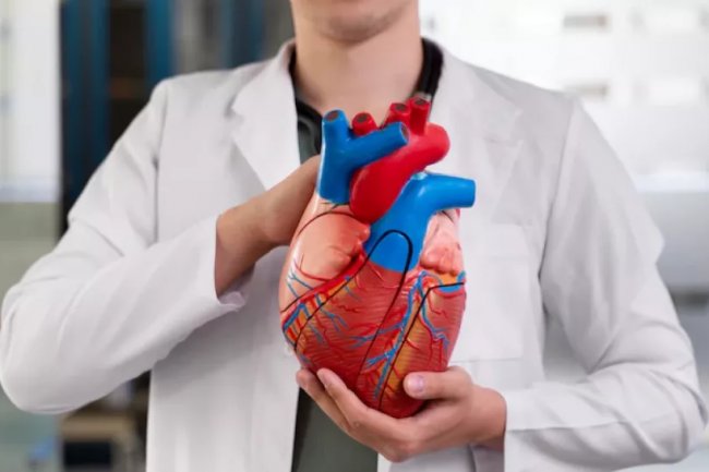 Deretan Makanan Penyebab Serangan Jantung, Hati-hati !