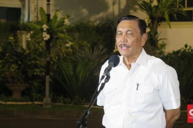 Kronologi Luhut Dapat Fakta 9 Juta Ha Lahan Sawit Belum Dipajaki