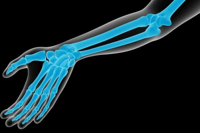 Pengertian, Jenis, dan Contoh Tulang Rawan pada Tubuh Manusia