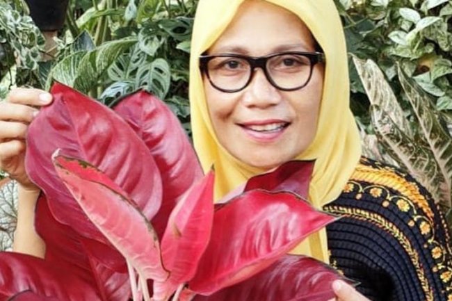 Biasa Marah-marah, Aksi Nursyah Sibuk Joget Bareng Tanaman Tuai Sorotan: Sehat Bu?