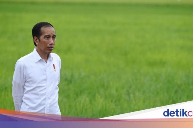 Ngeri! Jokowi Ungkap Ancaman Krisis Pangan, 345 Juta Orang Bisa Kelaparan