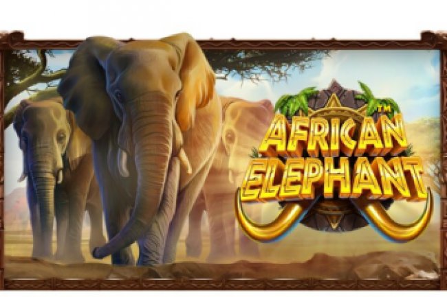 Ulasan Terbaik Slot Pragmatic Play African Elephant