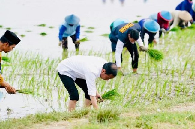 Ironi Insentif Mobil Listrik di Tengah Turunnya Subsidi Pupuk Petani