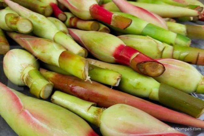 Catat 7 Manfaat Kecombrang untuk Kesehatan Tubuh, Jangan Lewatkan!