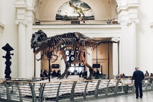 Hari Museum Internasional Sebagai Momentum Peningkatan Kualitas Musum