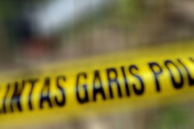 Pemotong Kayu Tewas Diduga Diterkam Harimau, Jasad Ditemukan Rekan Korban