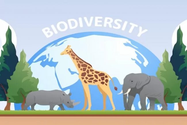 22 Mei Hari Keanekaragaman Hayati Internasional, Berikut Sejarah dan Tujuannya