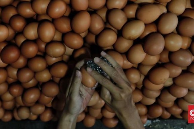 Mendag Zulhas Beberkan Penyebab Harga Telur Naik