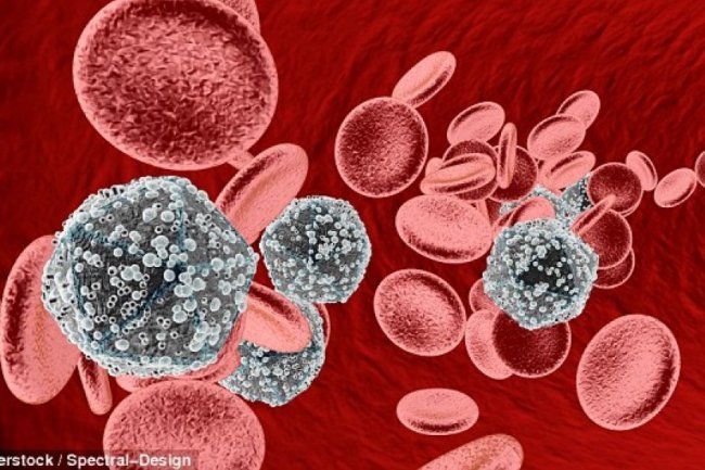 Epidemiolog Ungkap Penyebab Tingginya Kasus HIV Ibu Rumah Tangga