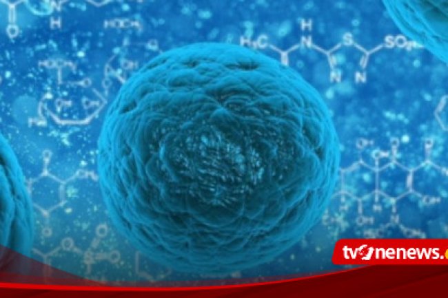 Tekan Lonjakan Kasus Sifilis, Dinkes DIY Intensifkan Penyuluhan