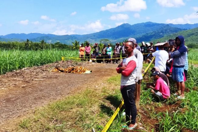 Masih Ingat Peristiwa Cekcok di Perkebunan Banyuwangi, Korban Selamat Dikabarkan Meninggal Dunia