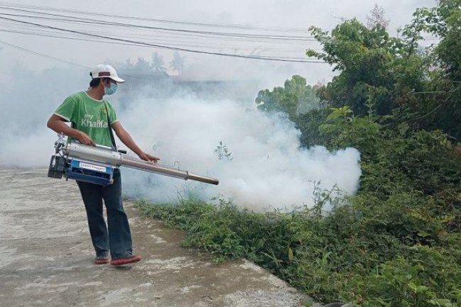 DBD Meningkat, Dinas Kesehatan Pasangkayu Kehabisan Anggaran - Tribun-sulbar.com