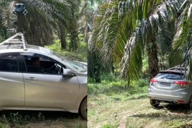 Apes, Mobil Google Maps Nyasar ke Kebun Sawit