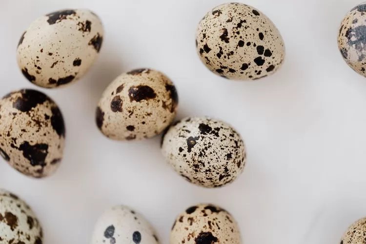 Manfaat Telur puyuh yang Jarang Kamu Ketahui, Salah satunya Bisa Bikin Badan Berotot