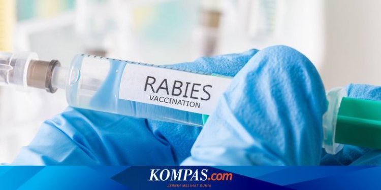 Serang Otak dan Saraf, Apakah Penyakit Rabies Bisa Sembuh?