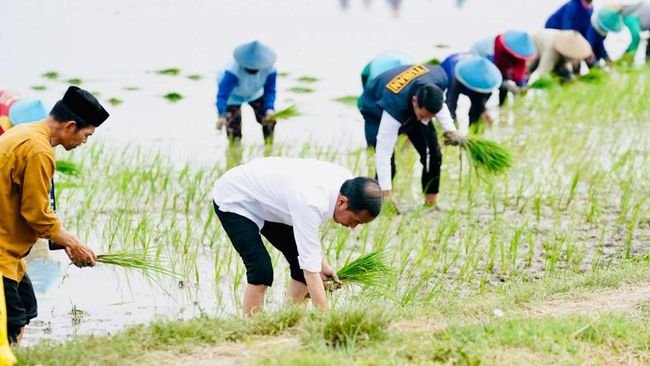 Ironi Insentif Mobil Listrik di Tengah Turunnya Subsidi Pupuk Petani