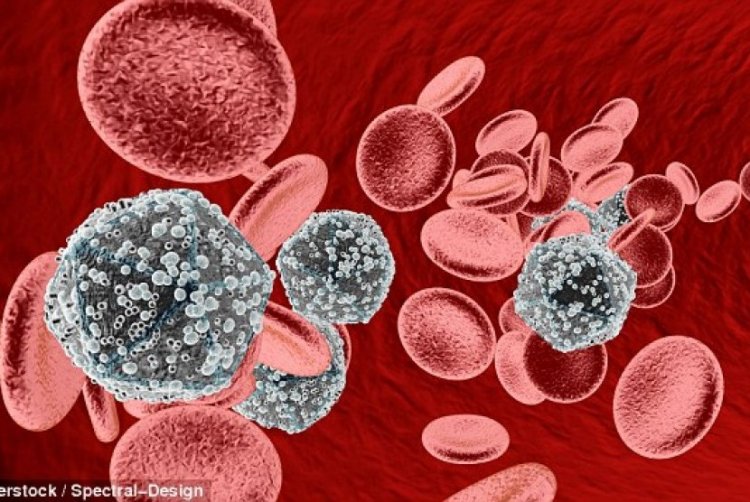 Epidemiolog Ungkap Penyebab Tingginya Kasus HIV Ibu Rumah Tangga