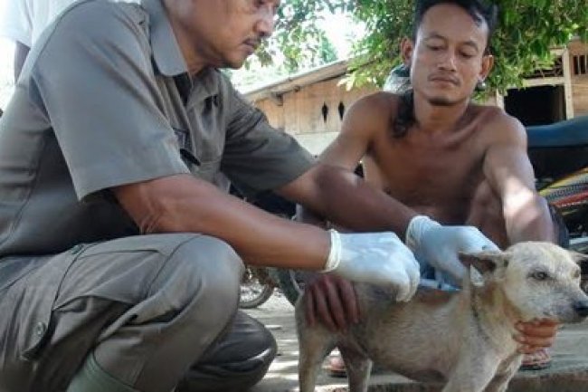 Kasus Rabies di TTS Bertambah jadi 46 Orang