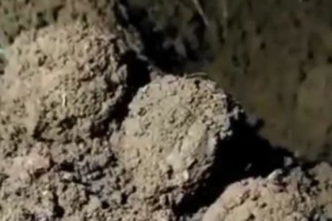 Viral Pelempar Batu ke Jalan Tol, Ini Motif Pelaku