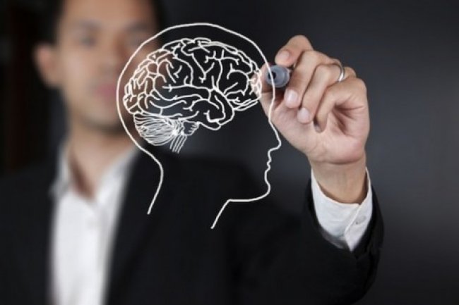 Intip 5 Fakta Unik yang Dimiliki Otak Manusia