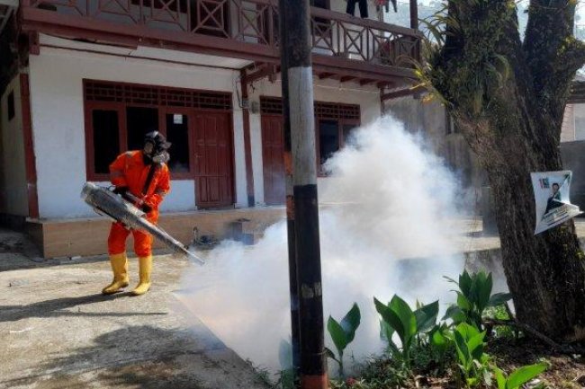 Januari-Mei 2023, Kasus DBD di Mamuju Capai 102 Kasus, Satu Meninggal Dunia - Tribun-sulbar.com