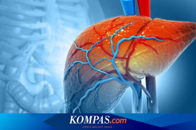 Apakah Penyakit Hepatitis A Itu Berbahaya? Berikut Faktanya…