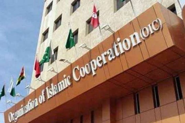 Hari Naksah : OKI Ulangi Seruan Komunitas Internasional Akhiri Pendudukan Kolonial Israel di Palestina