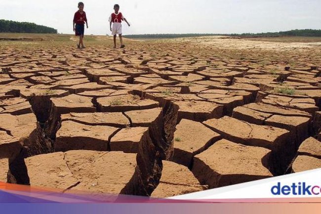 Ilmuwan Umumkan Kedatangan El Nino, Siap-siap Bumi Makin Panas