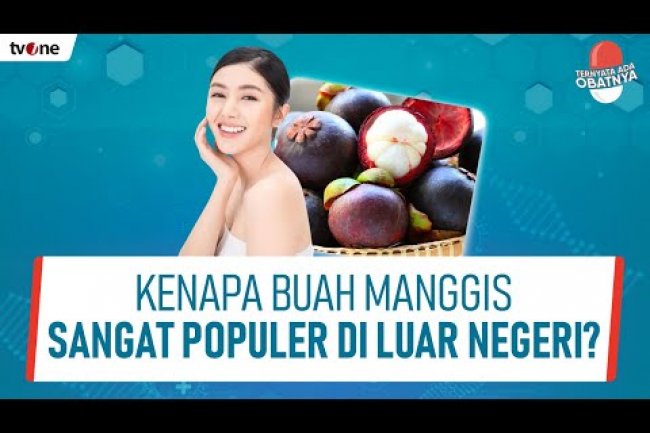 Tinggi Permintaan di Berbagai Negara, Inilah Manfaat Buah Manggis Untuk Kesehatan dan Kecantikan