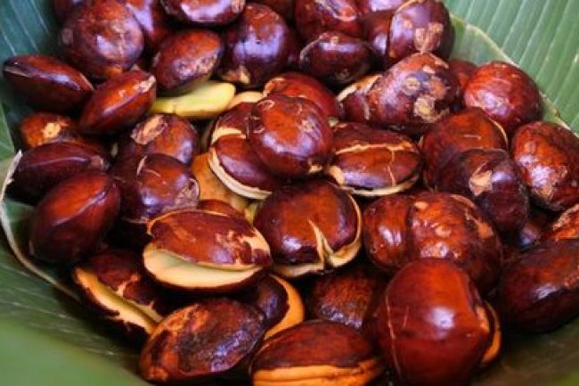 Tak Disukai Banyak Orang, Ini Manfaat dan Dampak Konsumsi Jengkol untuk Kesehatan