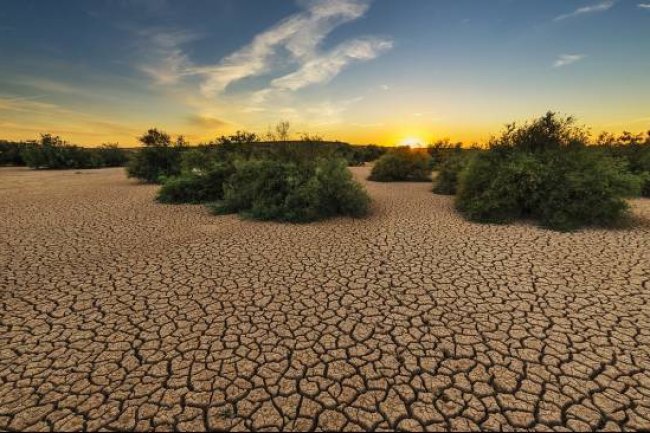 Fakta-Fakta Hari Internasional untuk Memerangi Desertifikasi dan Kekeringan, Diperingati 17 Juni