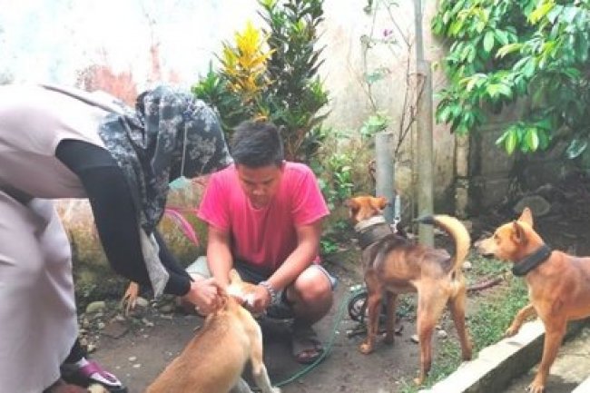 Catat, Ini Tiga Hal Utama Cegah Penyebaran Virus Rabies