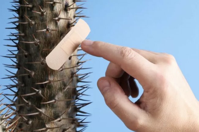 Hati-Hati Bisa Infeksi! Begini Cara Tepat Menangani Luka Jika Kalian Tertusuk Duri