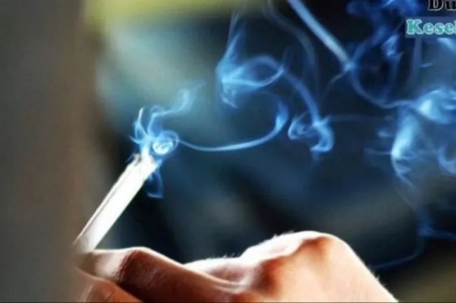 Bahaya Asap Rokok Bagi Anak-anak dan Bayi